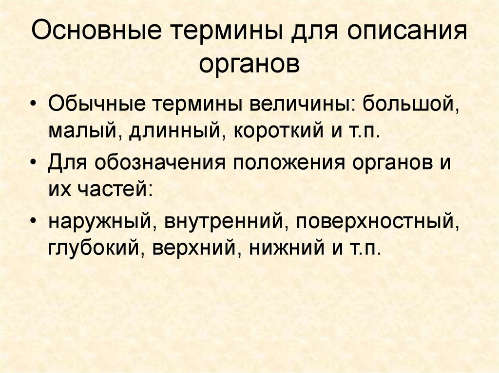 Положение органа