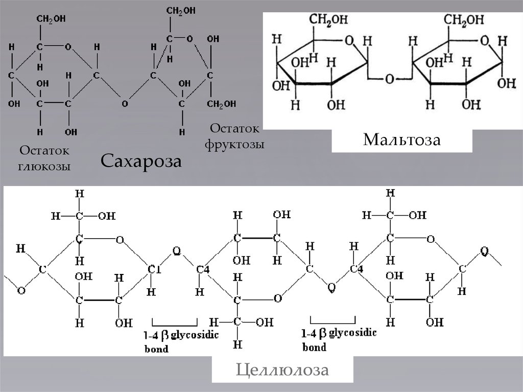 Фруктоза и гидроксид меди ii. Хелат мальтозы. Комплекс сахарозы с медью. Мальтоза фруктоза. Взаимодействие сахарозы с гидроксидом меди.