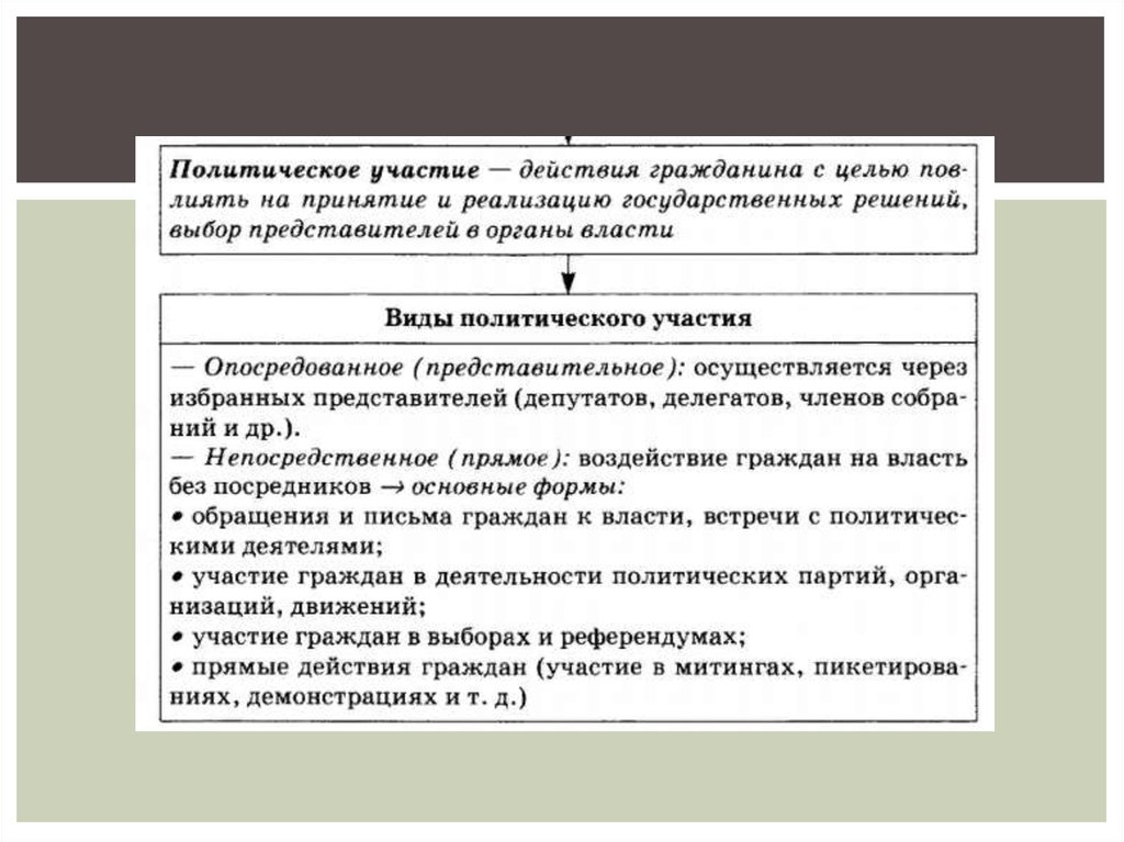 Участие граждан в политической жизни план егэ