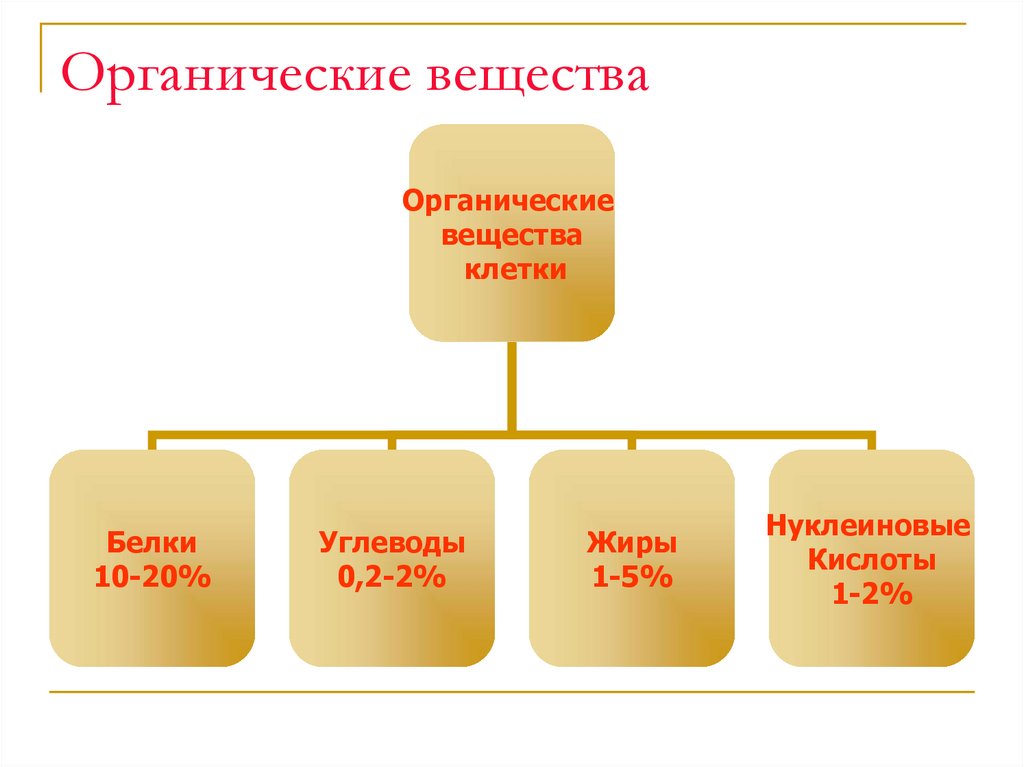 Органические вещества попадая. Органические вещества клетки вещество 5 класс биология. Органические веществв. Органические вещества э. Органические вещества это в биологии.