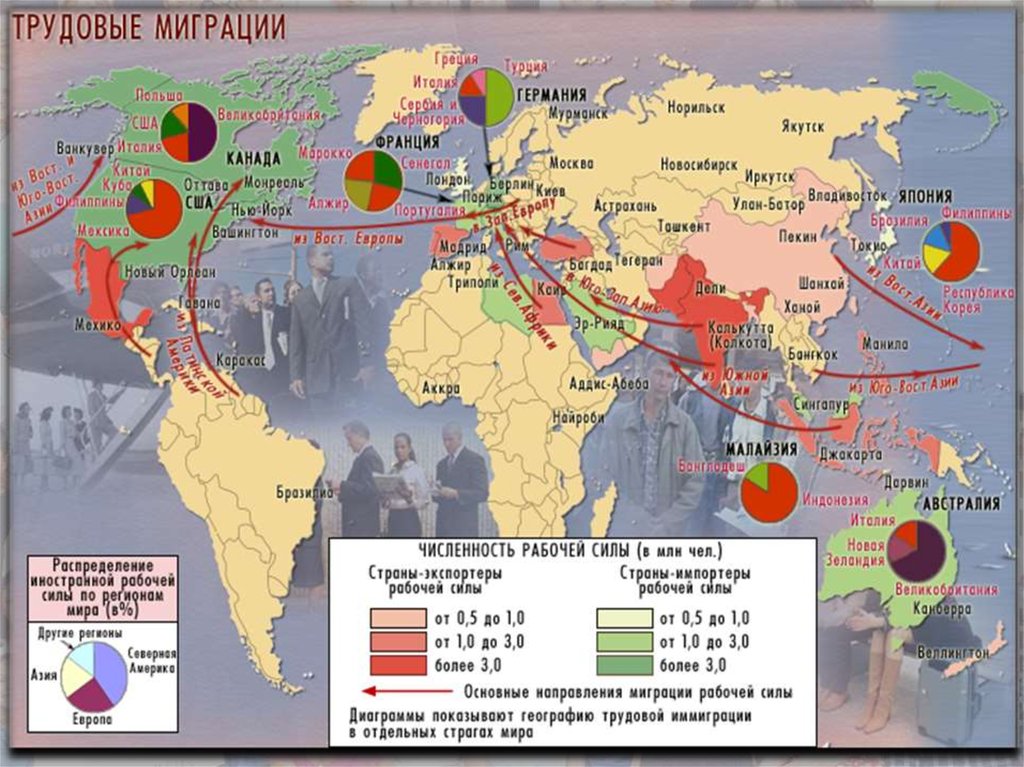 Миграция мирового населения. Карта основных направления трудовой миграции в мире.