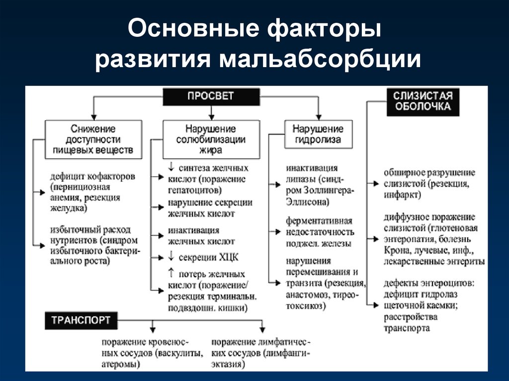 Синдром развития. Основные проявления синдрома мальабсорбции патофизиология. Синдром мальдигестии патогенез. Патогенез клинических проявлений синдрома мальабсорбции. Причины развития синдрома мальабсорбции.