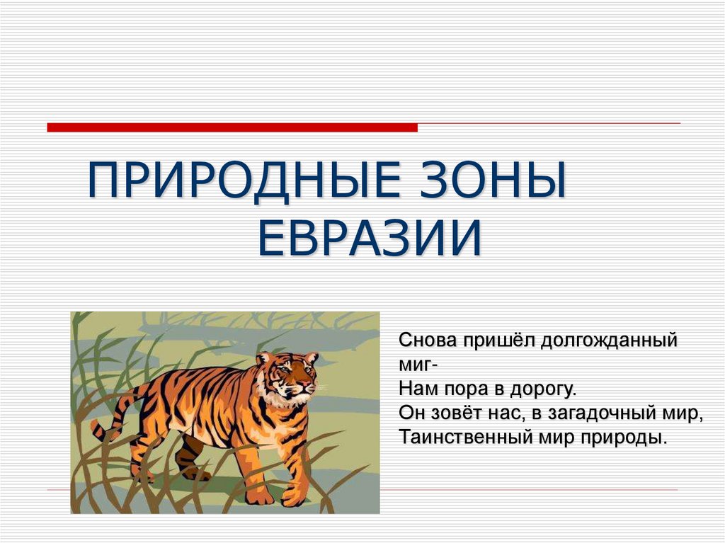 План описания природной зоны евразии 7 класс