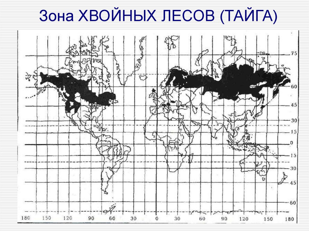 Хвойная на карте