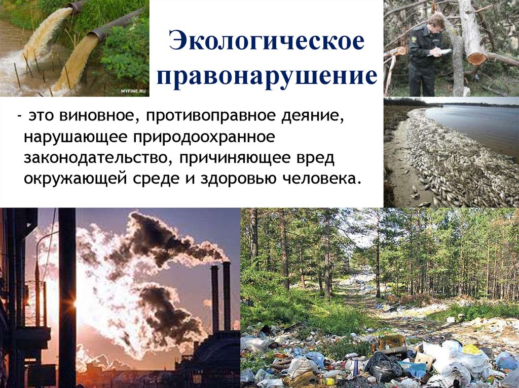 Причинение экологического вреда. Экологические правонарушения. Понятие экологических преступлений. Экологическая преступность.