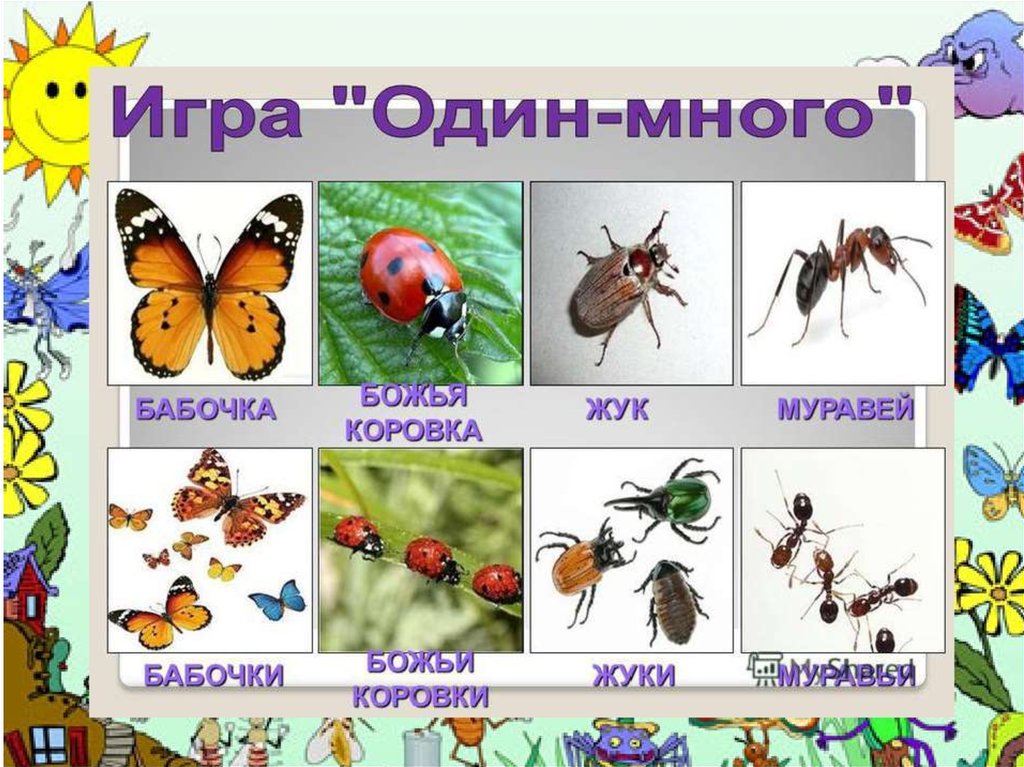 Про насекомых для детей 4 5. Насекомые для дошкольников. Насекомые для ДОШКОЛЬНИКЛ. Тема насекомые для дошкольников. Насекомые иллюстрации для детей.