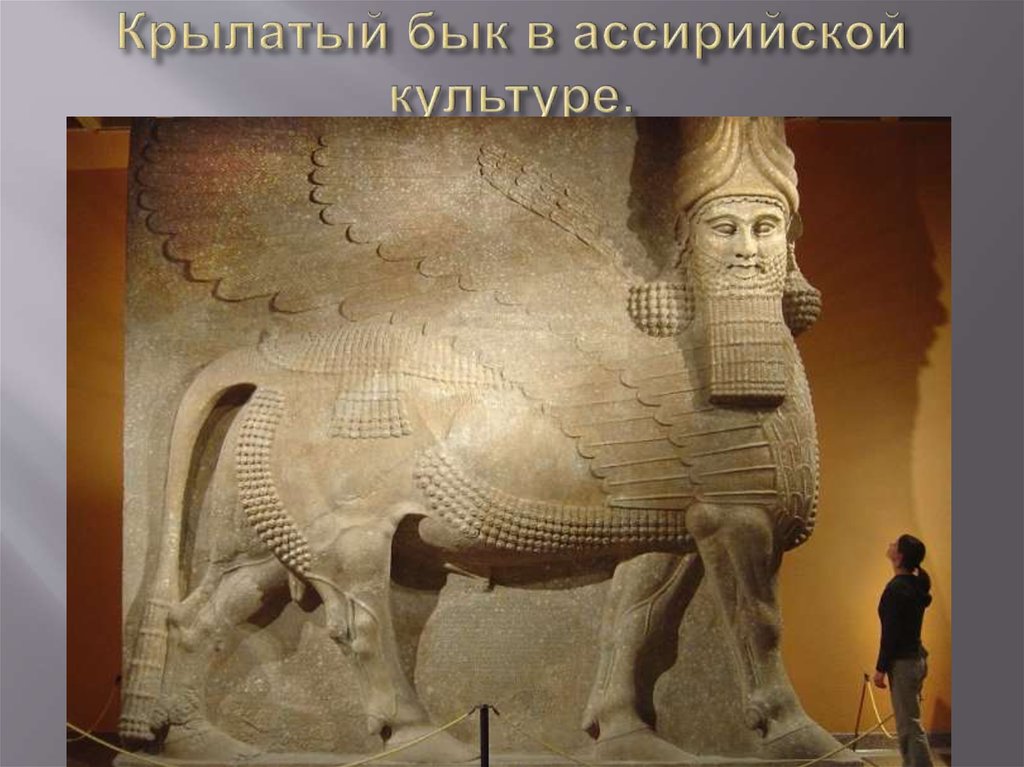Крылатый бык в ассирийской культуре.