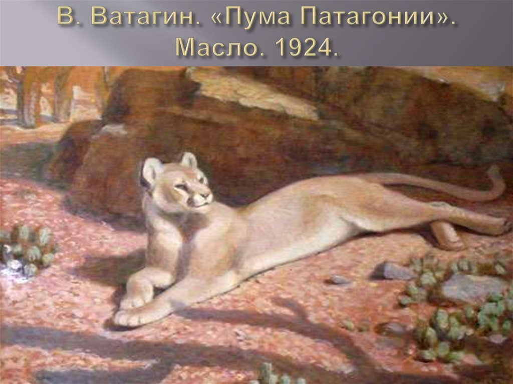В. Ватагин. «Пума Патагонии». Масло. 1924.