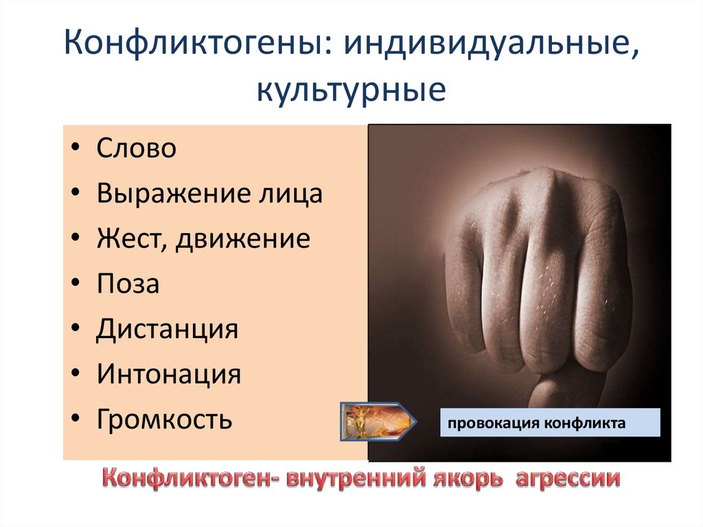 Конфликтогены и синтоны презентация