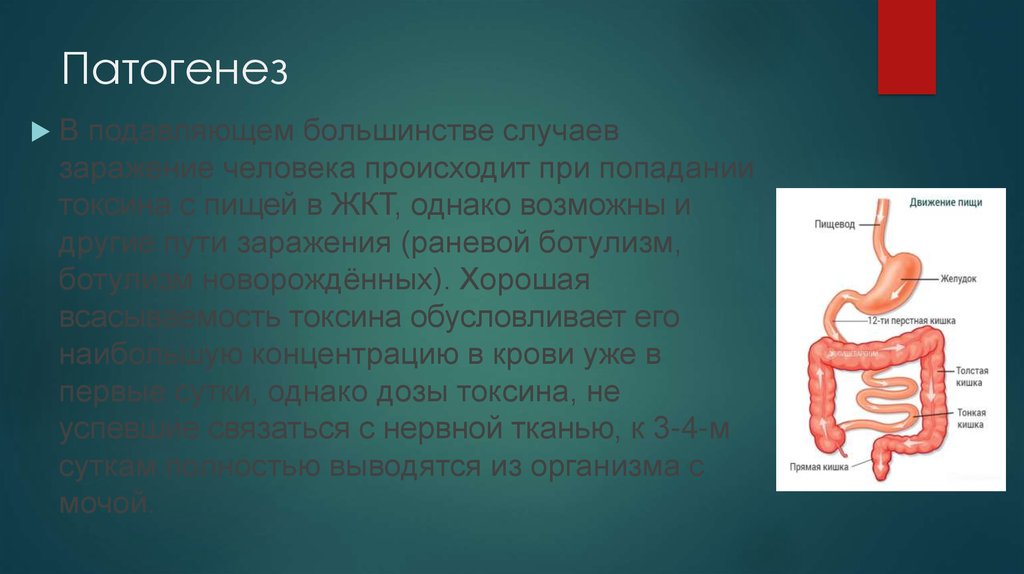 В клинической картине ботулизма обычно не наблюдается