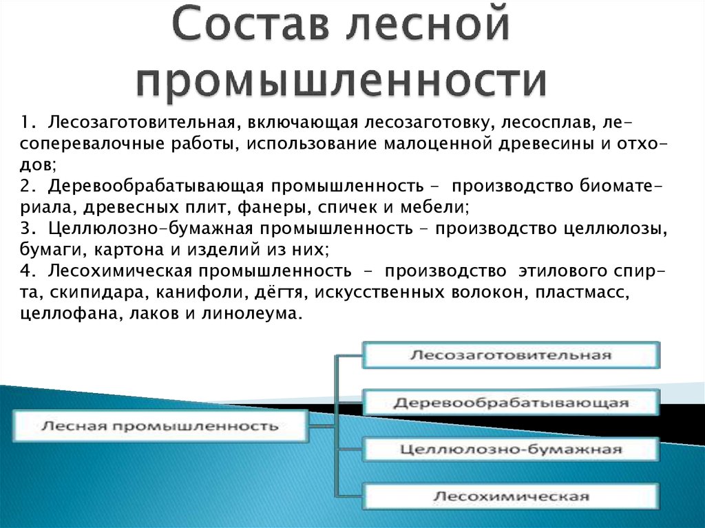 Состав лесного комплекса