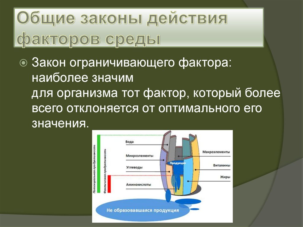 Схема лимитирующего фактора