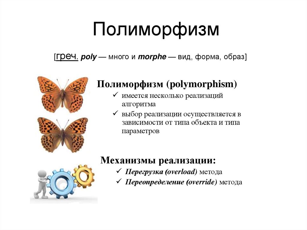 Можно ли назвать человека полиморфным