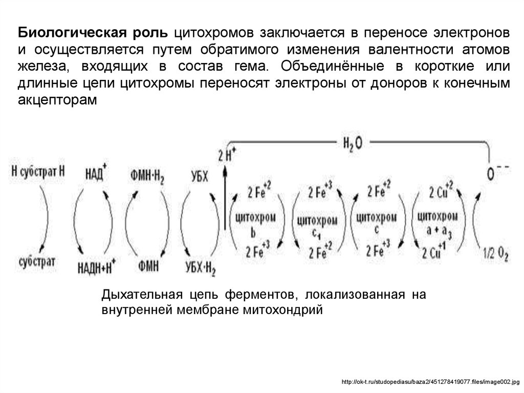 Конечный акцептор электронов