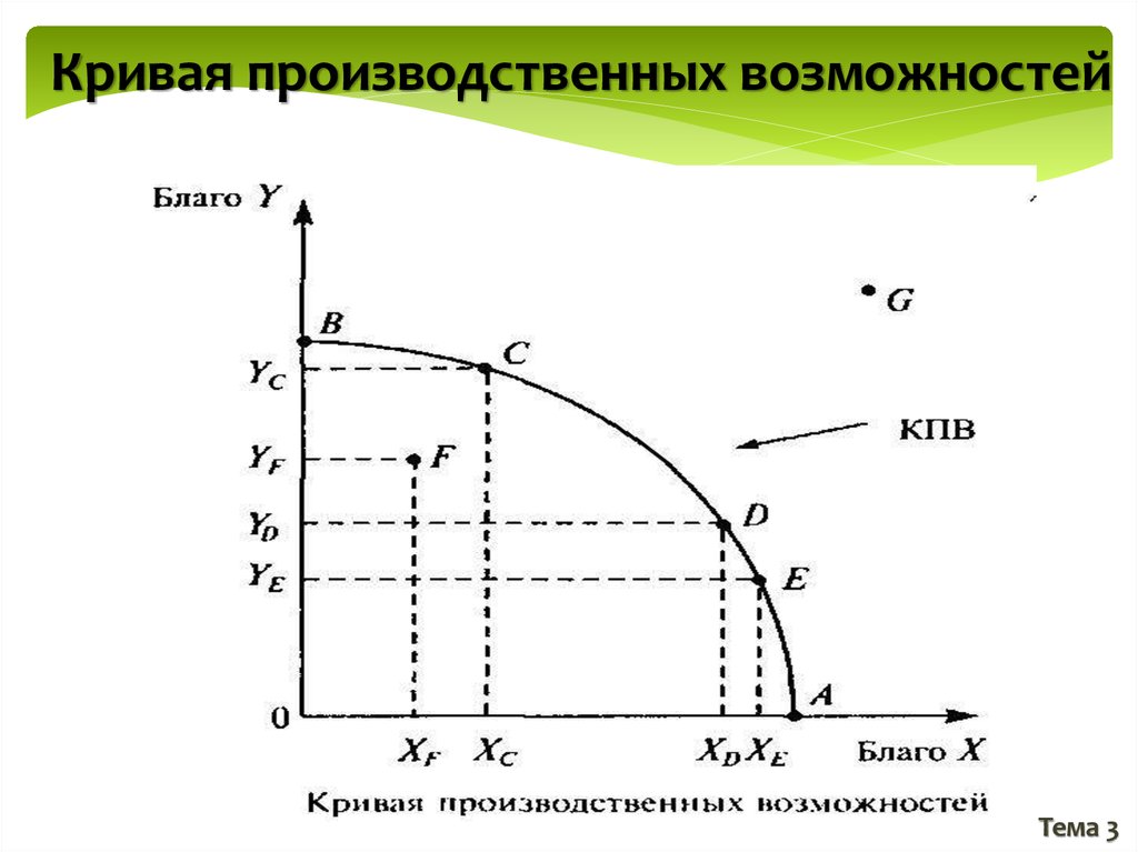 Реферат: Производственные возможности общества