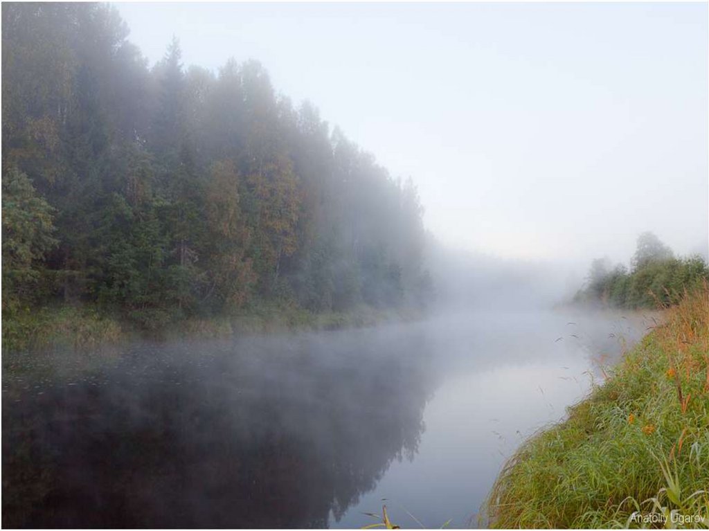 Бежит река в тумане слушать. Река туманная граница. Тобольск река туман. Песня а над речкой туман.