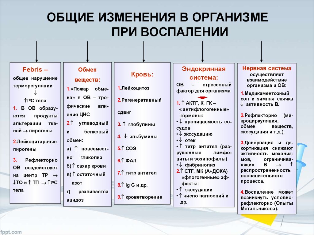 При гнойном остром воспалении наблюдается изменение картины крови