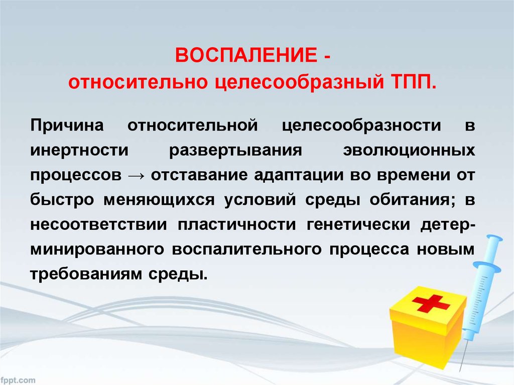 Условия воспаления. Относительная целесообразность адаптации это. Физиологическая целесообразность воспаления. Относительная целесообразность. Воспаление физиологический процесс.