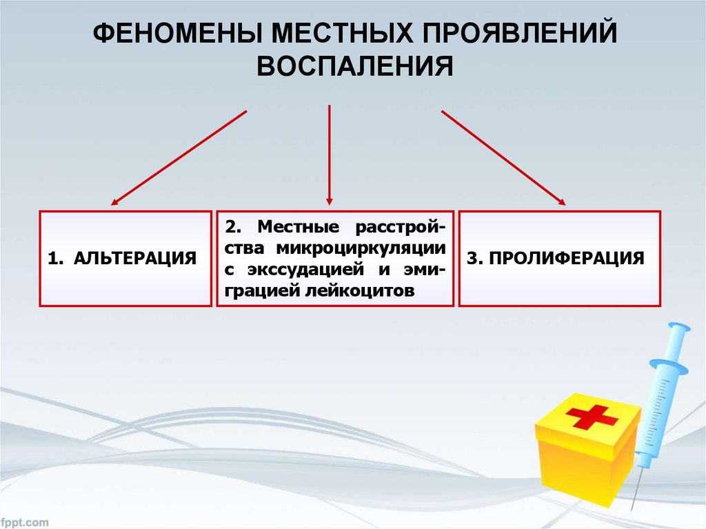 Феномен места. Пролиферация местные проявления. Воспаление пролиферация местные проявления. Схема местных проявлений воспаления. Воспаление пролиферация механизм местные проявления.