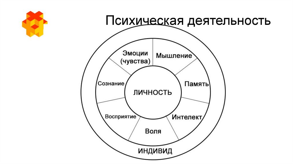 Формы психики