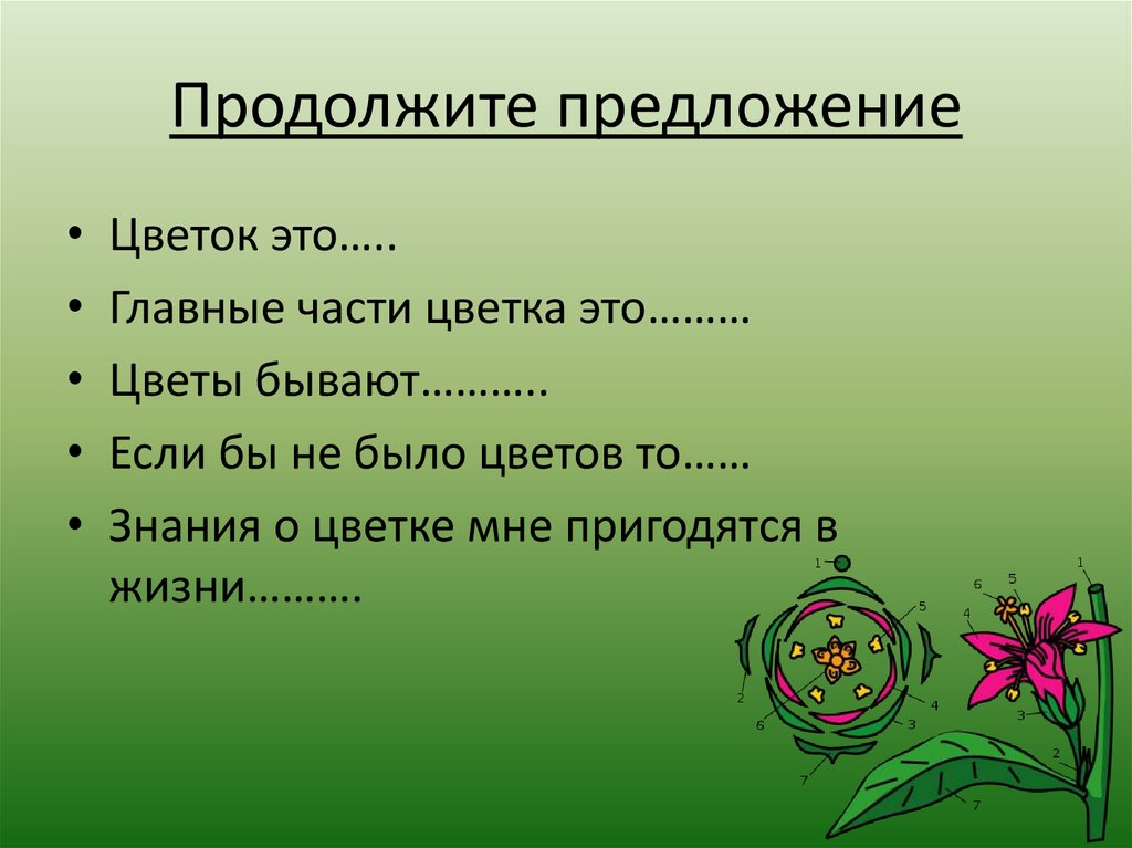 Цветок предложение. Продолжить предложение. Предложение про растения. Цветы для предложения. Продолжите предложение информация для человека это.