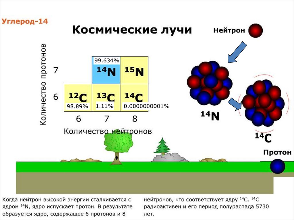 График радиоактивного распада углерода 14. Радиоактивный углерод. Метод радиоактивного углерода. Распад изотопов углерода. Метод радиоуглеродного анализа.