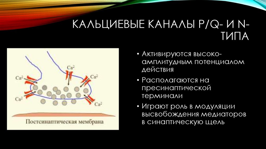 Кальциевый