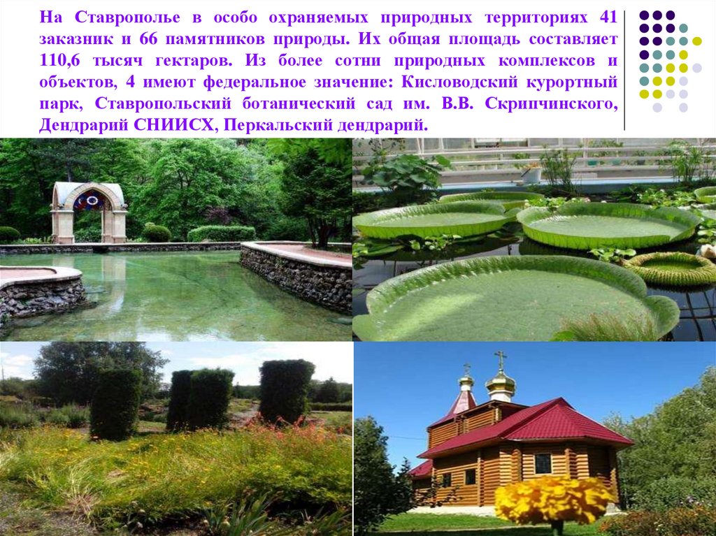 На Ставрополье в особо охраняемых природных территориях 41 заказник и 66 памятников природы. Их общая площадь составляет 110,6