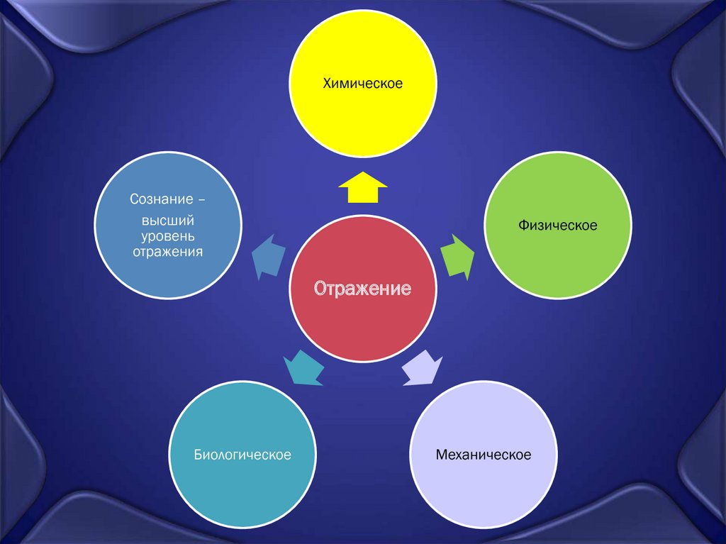 Физические отражает. Формы биологического отражения в философии. Сознание высший уровень отражения. Высшая форма биологического отражения. Уровни отражения (физический, биологический, социальный)..