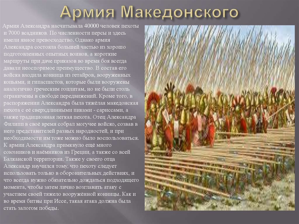 Македонская фаланга сильные и слабые. Численность армии Филиппа Македонского.
