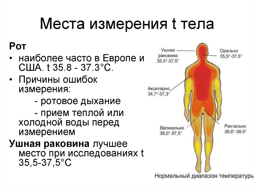 Температура без причины у женщины. Температура тела. Температура человека. Места измерения. Как повышается температура тела.