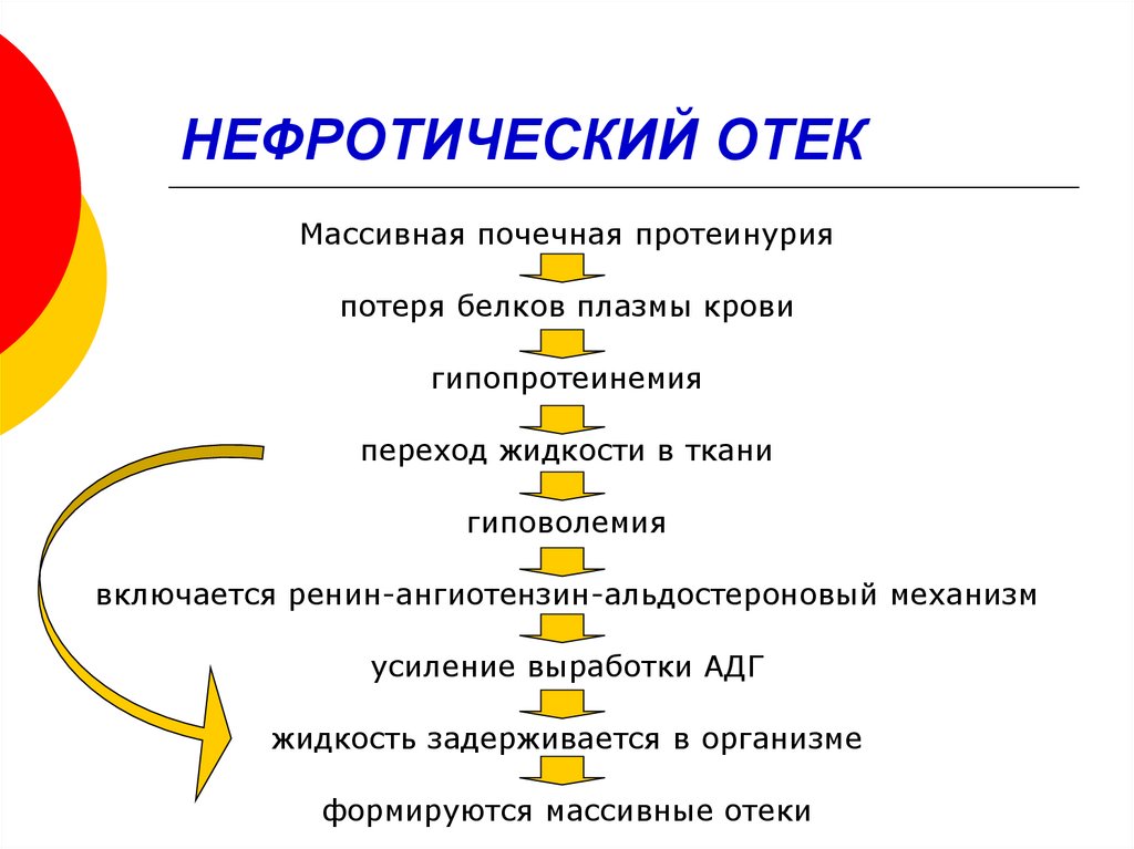 Нефротический синдром патогенез схема