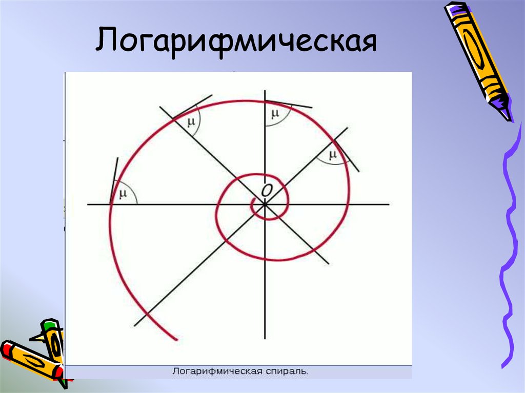 Логарифмическая спираль презентация