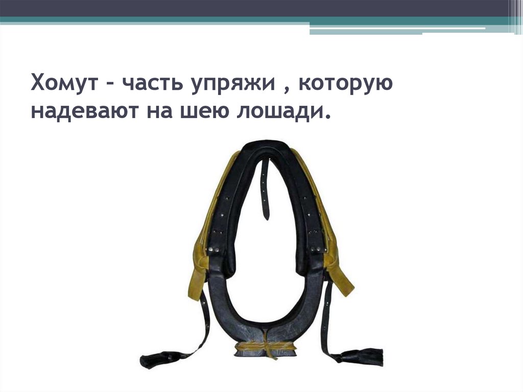 Надел на шею. Хомут часть упряжи. Что надевают лошади на шею. Хомут на шею лошади. Хомут на шее у коня.