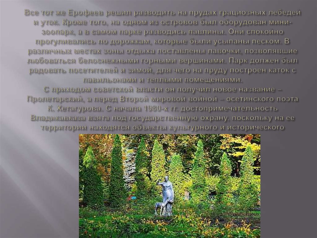 Все тот же Ерофеев решил разводить на прудах грациозных лебедей и уток. Кроме того, на одном из островов был оборудован
