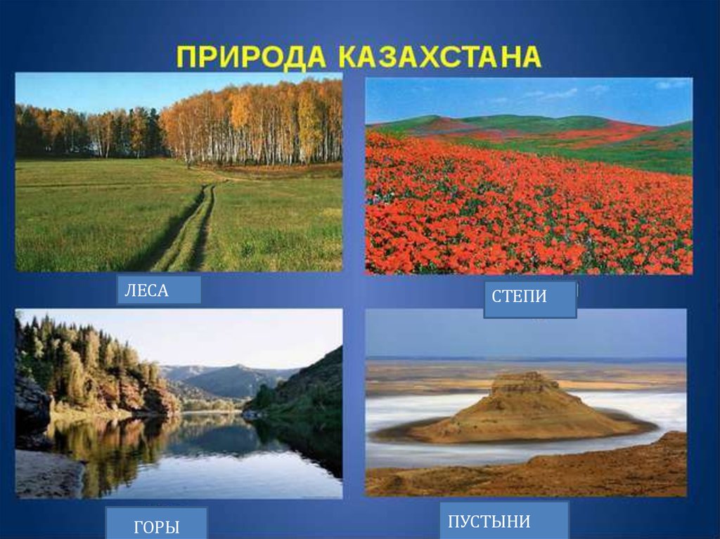 Казахстан доклад 3 класс окружающий мир. Казахстан презентация. Леса и степи. Природа Казахстана презентация. Природа Казахстана слайд.