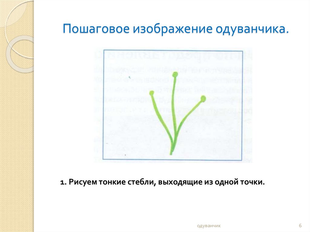 Презентация одуванчик в младшей группе