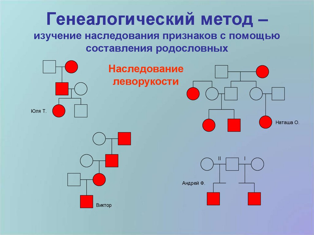 Генеалогический метод используют для определения