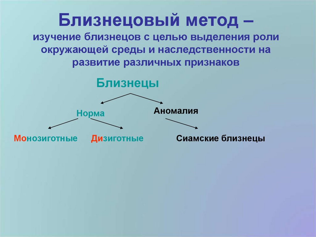 Близнецы и близнецовый метод исследования в генетике человека презентация