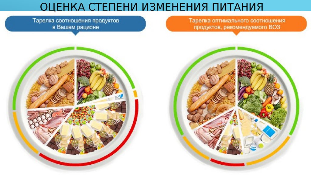 Принципы тарелки здорового питания. Здоровое соотношение продуктов питания. Тарелка здорового питания воз. Соотношение продуктов в рационе. Рацион питания здорового человека.