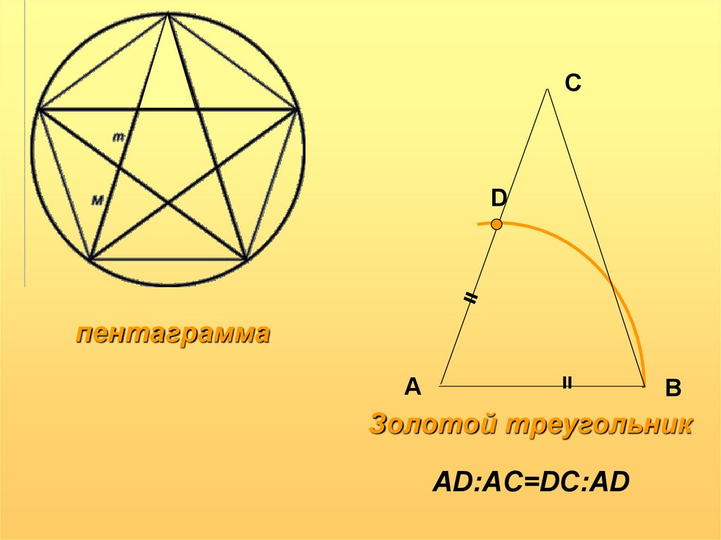 Золотое сечение гармоничная пропорция проект