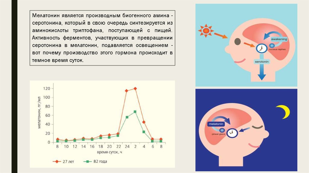 Вещества содержащие мелатонин. Гормон мелатонин таблица. Вещества содержащие мелатонин. Вещества содержащие мелатонин. Продукты содержащие мелатонин.