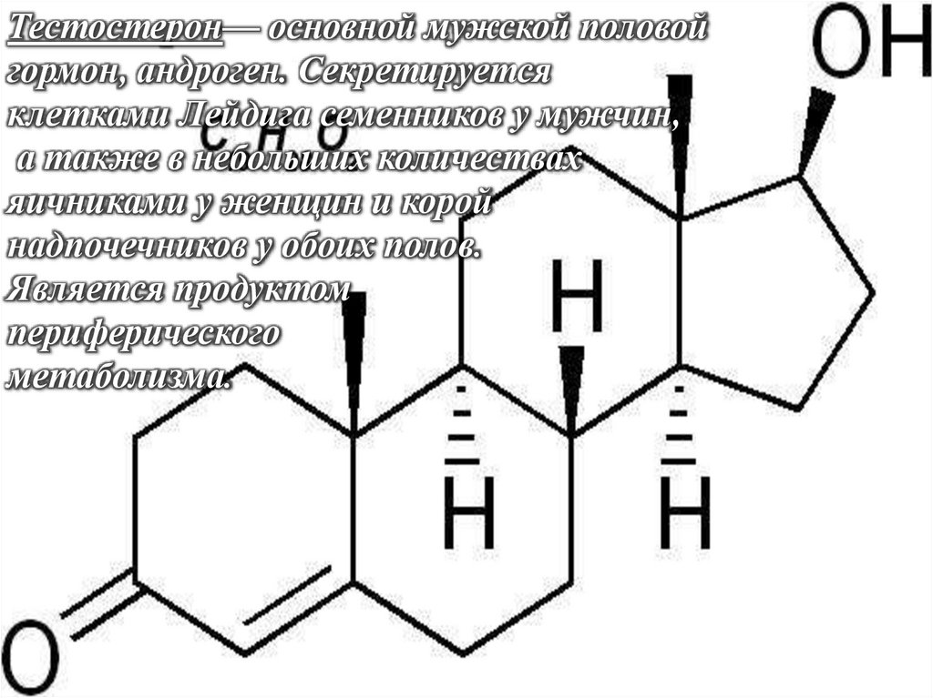 Ферменты пол