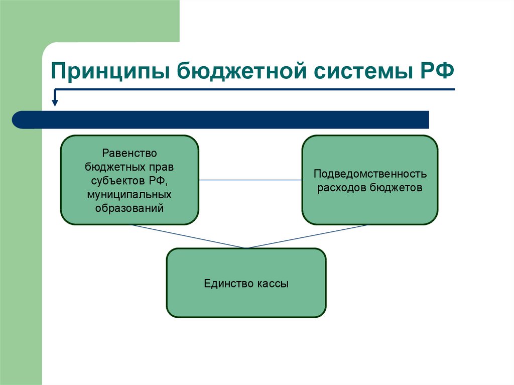 Принципы бюджета. Принципы бюджетной системы презентация. Принцип равенства бюджетных прав. Принцип равенства бюджетных прав субъектов РФ. Равенство бюджетных прав субъектов РФ И муниципальных образований.