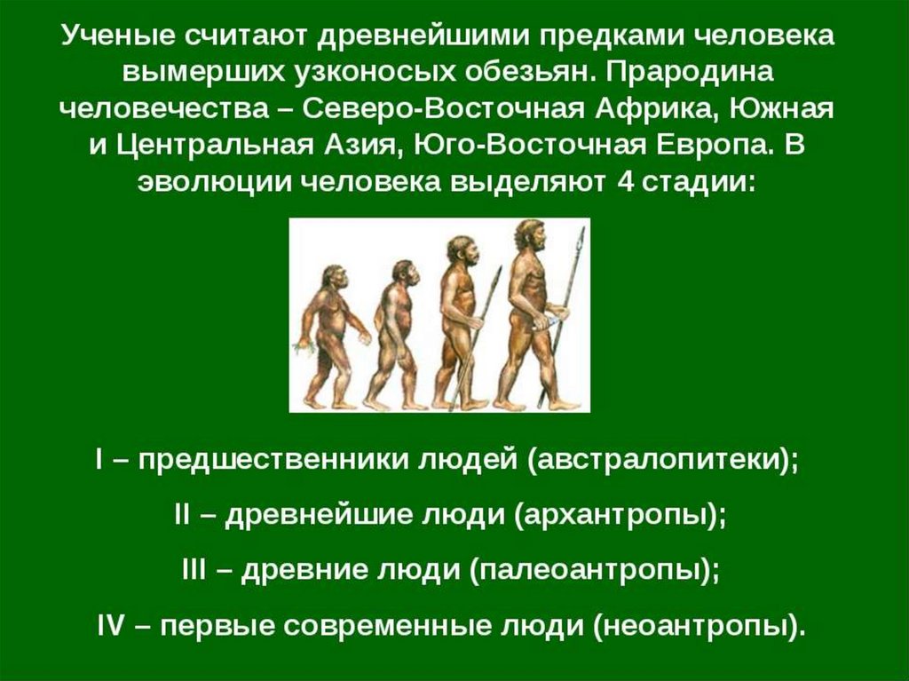 Появление прямохождения способствовало появлению. Предки современного человека. Древние предки человека. Кто предок современного человека. Появление человека от древнего предка.