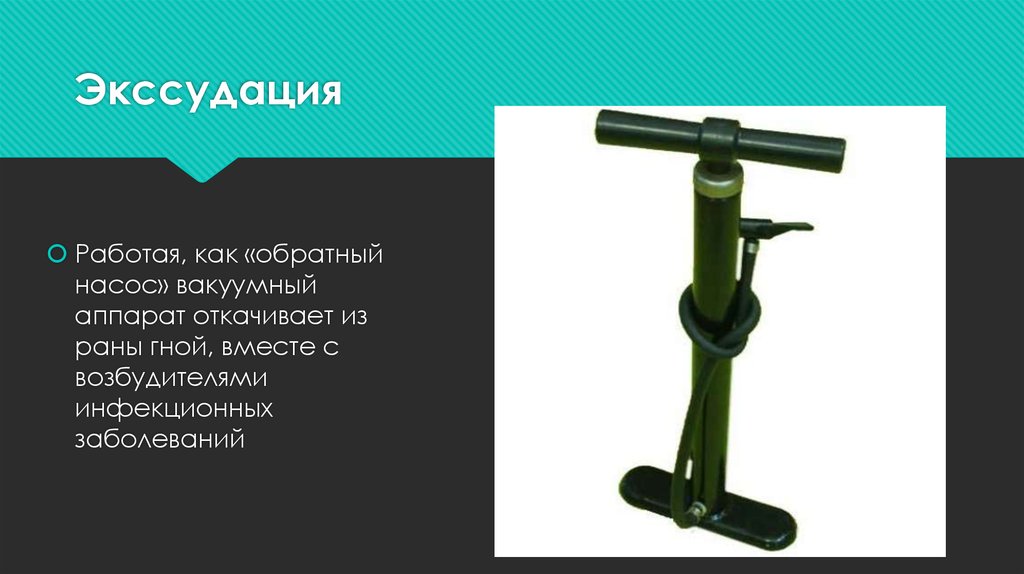 Экссудация