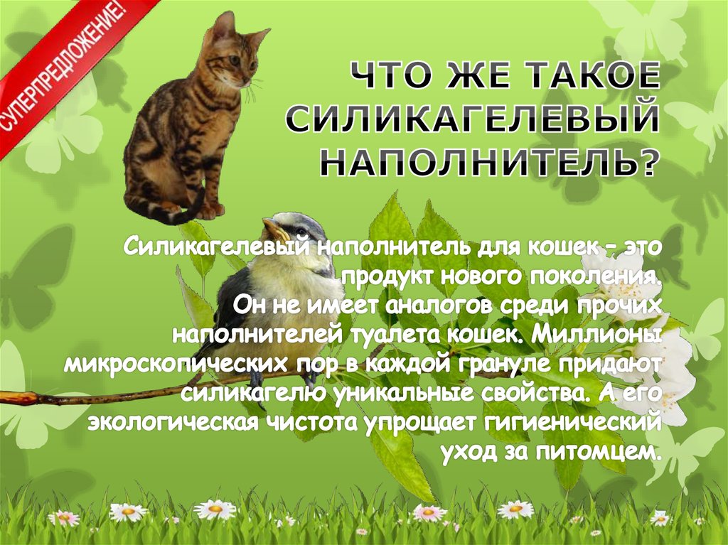 Силикагелевый наполнитель для кошек – это продукт нового поколения. Он не имеет аналогов среди прочих наполнителей туалета