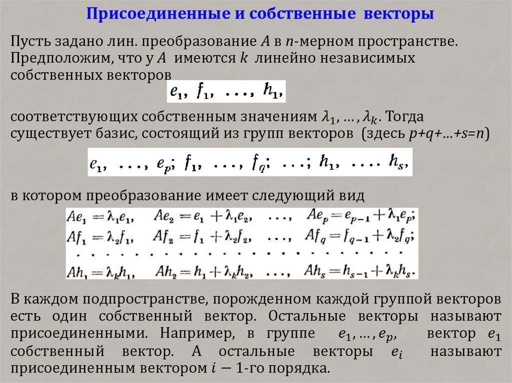 Присоединенная матрица. Собственные и присоединенные векторы. Присоединенный вектор матрицы. Собственный вектор. Матрица из собственных векторов.