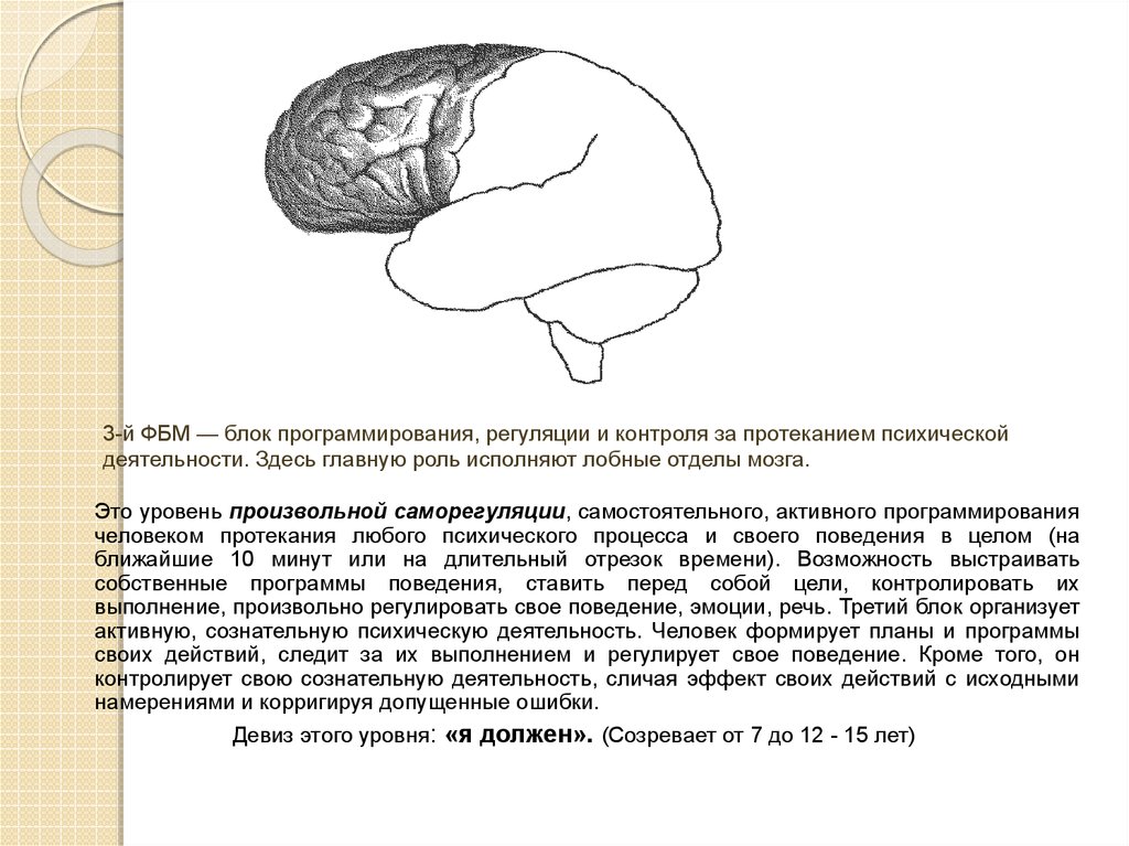 Метод замещающего онтогенеза презентация