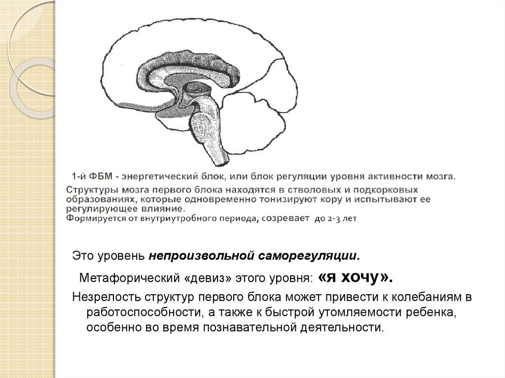 Метод замещающего онтогенеза презентация